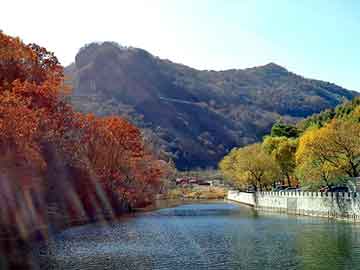 新澳天天开奖资料大全旅游团，好朋友背靠背